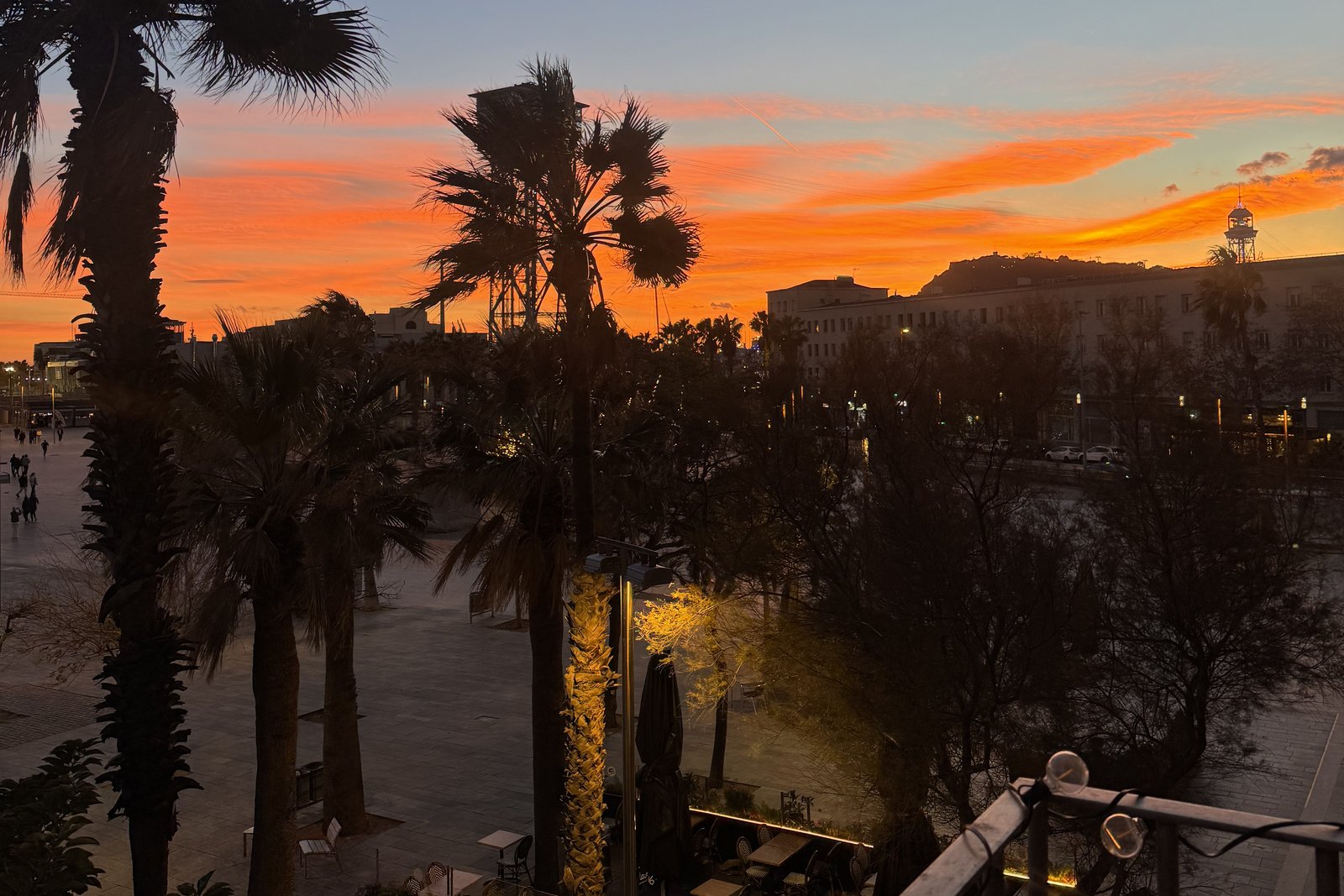 Sunset over the palm-lined promenade below the flat, with the sky turning orange