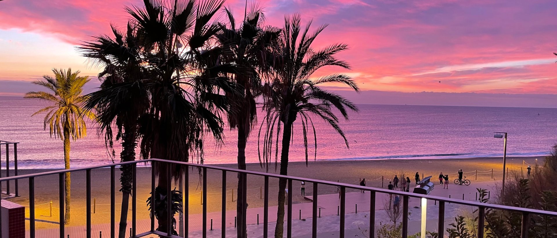 Pink dawn sky over the sea and palm trees, seen from the flat's balcony
